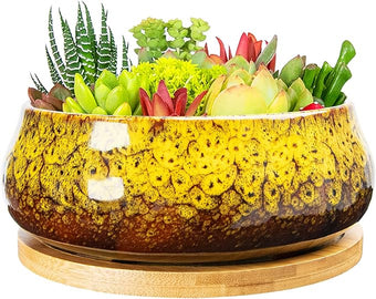 ARTKETTY Succulent Pots - 8 Inch Plant Pot, Large Bonsai Pots with Drainage Tray, Ceramic Planters for Indoor Outdoor Plants, Round Shallow Cactus Flower Plant Container Bowl Decorative Home Garden