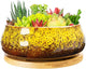ARTKETTY Succulent Pots - 8 Inch Plant Pot, Large Bonsai Pots with Drainage Tray, Ceramic Planters for Indoor Outdoor Plants, Round Shallow Cactus Flower Plant Container Bowl Decorative Home Garden