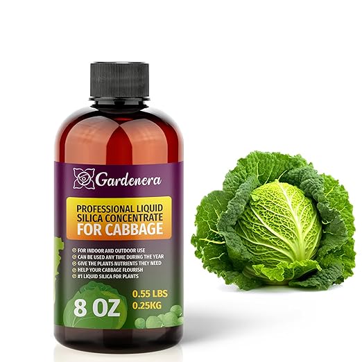𝐏𝐑𝐄𝐌𝐈𝐔𝐌 Liquid Silica Plant Supplement - 8oz (250mL) - Cabbage Plants Liquid Silica Boost Fertilizer - Stronger Stems & Healthy Leaves for Indoor & Outdoor Cabbage Plants (Makes 45 Gallons)