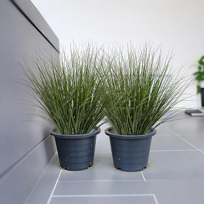 Uqueeten 16PCS 17.3" Fake Plants Artificial Wheat Grass Greenery Plastic Plants Fake Grass Artificial Plants for Outdoor Decor Artificial Grass Plant with Greenery Stems for Indoor Home Decoration