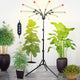 Orchbloom 10-Head Grow Light with Stand and Timer, 90 Watt Power Home Plug LED Grow Lights for Indoor Plants for Tall Houseplants, Bonsai Tree, Seed Starting, 24"-64" Adjustable Height