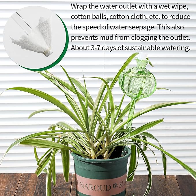 Self Watering Planter Insert. Plant Watering Devices. 3-Pack Cactus Plant Watering Bulbs. Plant Watering Globes. Plant Gifts Plant Lover Gifts