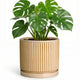 Wliror 8 Inch Flower Pot, Ceramic Planters, Round Plant Pot, Beige