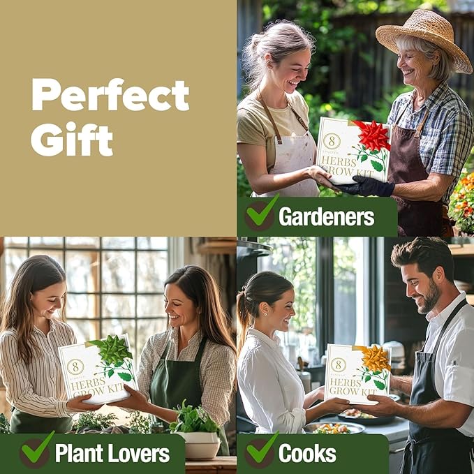 HOME GROWN Gift Herb Kit – 8 Herb Seeds Set with Basil, Cilantro, Mint & More, Complete Indoor Grow Kit for Kitchen, Gardening Gifts for Women & Men, Ideal for Cooking & Home Décor