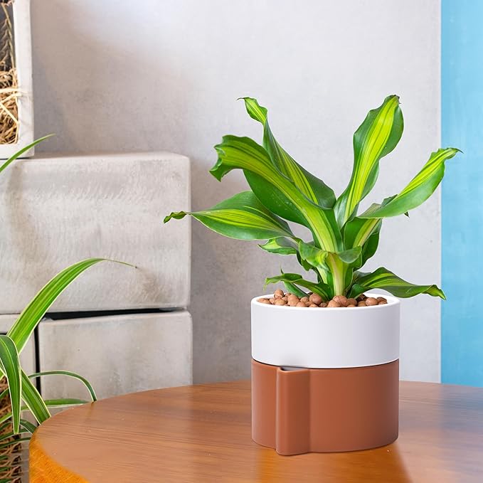 6.5 Inch Self-Watering Planter Pot with Terracotta Insert, Deep Water Reservoir, and Ceramic-Alike BPA-Free Plastic Pot for Plant, Modern Planter for Houseplants, Terracotta/White, 53-B-S-6