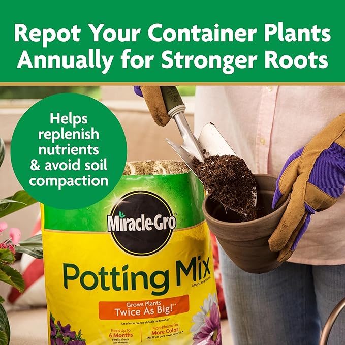 Miracle-Gro Potting Mix, For Container Plants, Flowers, Vegetables, Annuals, Perennials, Shrubs, Feeds for up to 6 Months, 16. qt., 2-Pack