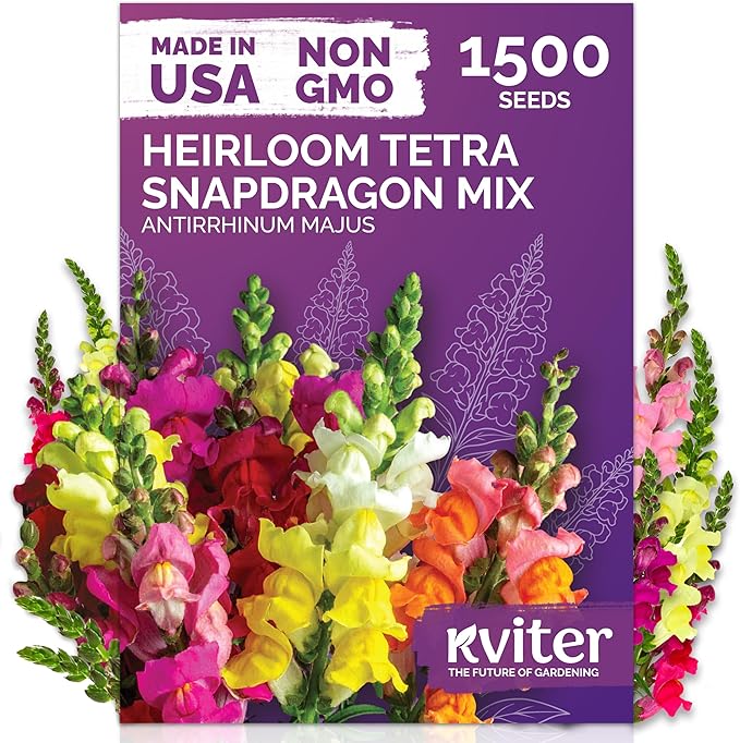 KVITER 1,500 Tetra Mix Snapdragon seeds (Antirrhinum Majus) – Heirloom & Organic Tall Snap Dragon Mix, Annual Flower Garden seeds, Cut Flower Seeds for Planting – Ideal for Outdoor Garden & Containers