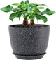 UOUZ 12inch Large Plant Pot, Modern Plastic Planter with High Driange Holes and Saucer for Indoor Outdoor Garden Plants and Flowers, Black Speckles