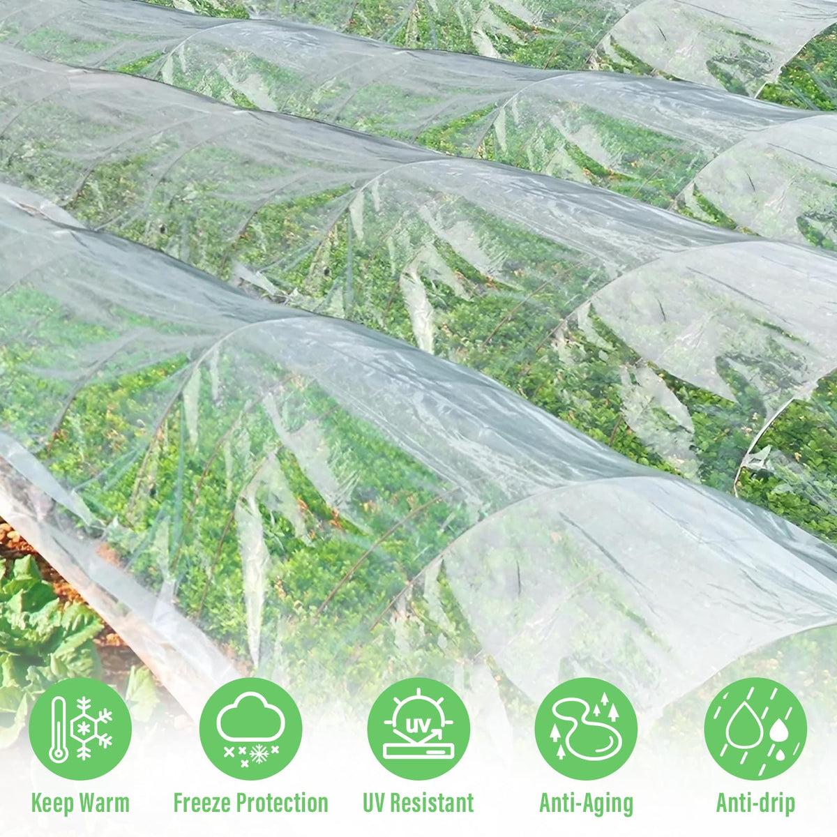 Legigo 10 X 30 Ft Clear Greenhouse Plastic, Plant Covers Freeze Protection