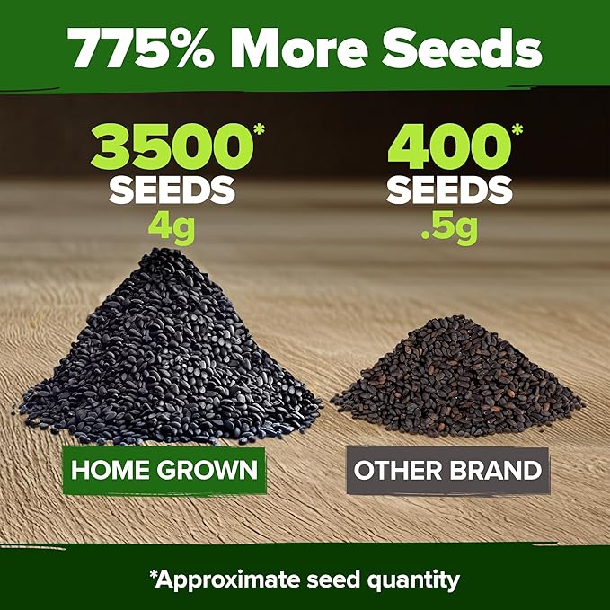 HOME GROWN Genovese Basil Seeds 2 Pack - 3500 Non GMO Heirloom Basil Seeds for Planting (Ocimum basilicum) - Herb Seeds for Indoor & Outdoor Gardening - Grow for Culinary Use