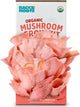 Back to the Roots Organic Pink Mushroom Grow Kit, Harvest Gourmet Mushrooms In 10 Days