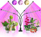 Indoor Plant Grow Light, 80 LED Black 4-Tube Lamp with Full Spectrum Red/Blue/Yellow, 6/12/16H Timer, 10-Level Dimmable, Flexible Gooseneck, 3 Spectral Modes