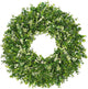 24-26 Inch Large Greenery Eucalyptus Boxwood Wreaths Artificial Easter Summer Spring Wreaths for Front Door Outdoor All Season Spring Decorations for Home Porch Room Window Wall Farmhouse (Berries)
