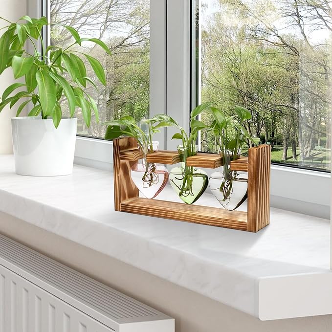 Plant Terrarium Propagation Stations Hydroponics Home Garden Decoration Gift for Women with Wooden Stand Heart Shaped Colored Glass Vase