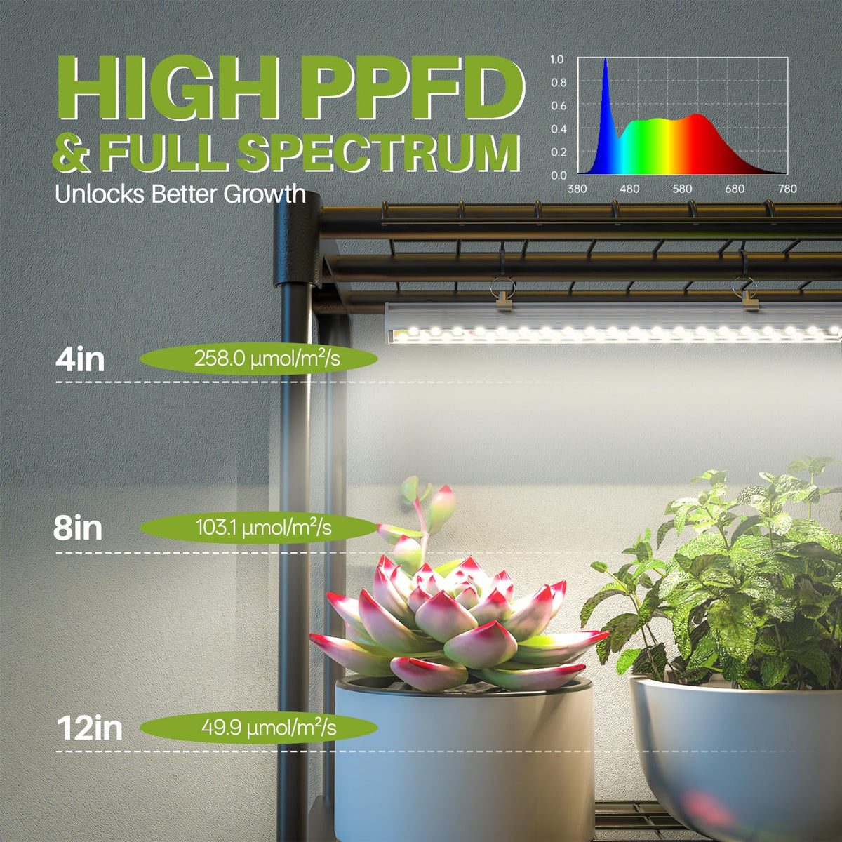 Inzlume 2-Tier Desktop Indoor Greenhouse with Grow Light, 11.8x23.6x23.6