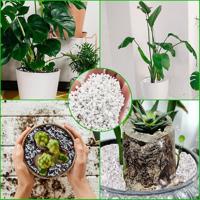 Legigo 4 Quarts Organic Horticultural Perlite for Plants Indoor- Natural Horticultural Soil Additive Conditioner Mix for Improves Drainage, Ventilation and Root Growth