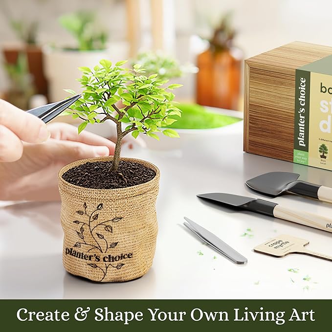 Planter's Choice Bonsai Tree Starter Kit - Unique Gifts for Women, Men - Birthday Gifts for Adults - Indoor Live House Plants - DIY Crafts for Adults Craft Kits - Hobby Gift for Gardening Lovers