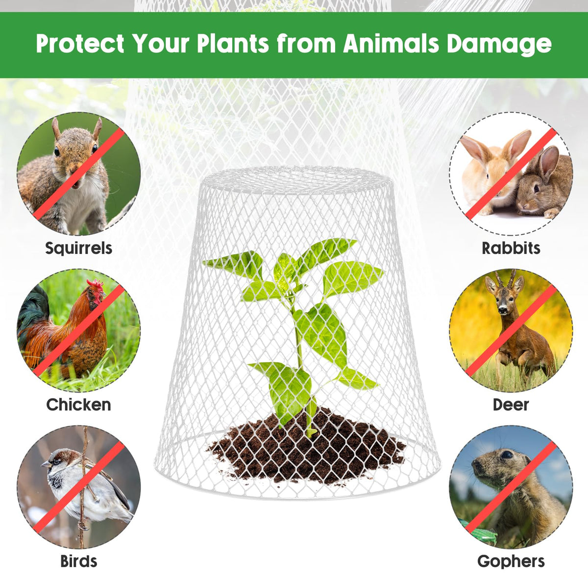Geosar 30 Pcs 9 Inch Chicken Wire Cloche Plant Protector Cover Metal Garden Cloche Netting Protection Cages Vegetables Flowers with Garden Stakes Avoiding Chicken Rabbit Squirrels Birds (White)