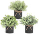 Mkono 3 Pack Small Fake Plants in Black Galvanized Metal Pots Artificial Eucalyptus Plants for Christmas Decorations Shelf Desk Home Farmhouse Room Coffee Table Bathroom Decor