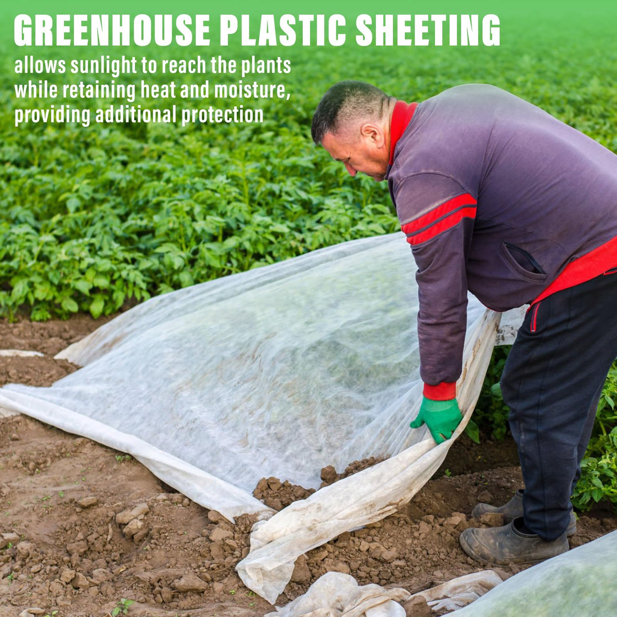Legigo 10 X 30 Ft Clear Greenhouse Plastic, Plant Covers Freeze Protection