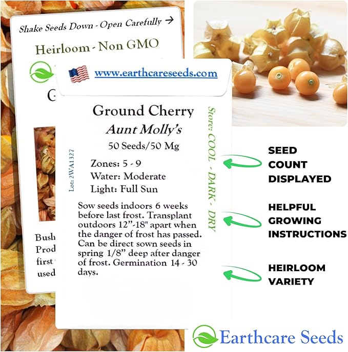 Ground Cherry Aunt Molly's 50 Seeds (Physalis pruinosa) Heirloom - Open Pollinated