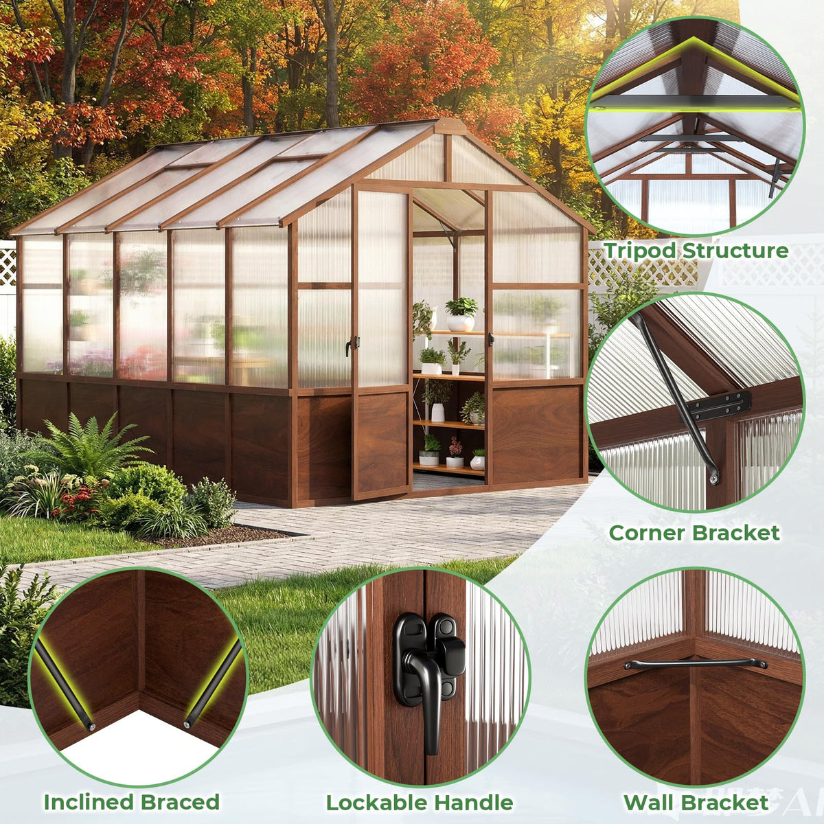 Jocoevol 8x10FT Walk-in Wooden Greenhouse for Outdoor Garden Backyard