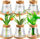 Beeveer 6 Pcs Plants Propagation Station Separated Desktop Plant Terrarium with Wood Lid and Stand, 3 Sizes Glass Planter Propagated Jars Propagation Vases for Indoor Home (Cute Style)