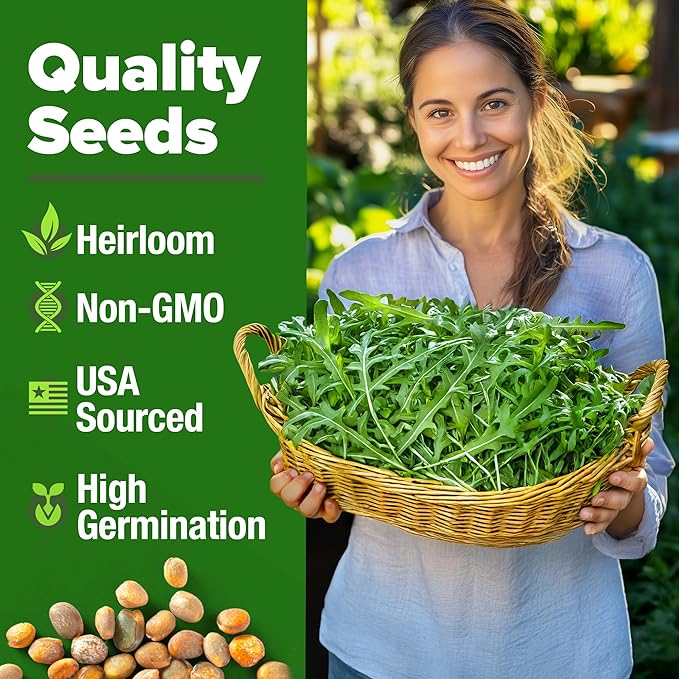 HOME GROWN Arugula Seed 2 Pack – 4350 Vegetable Seeds – Non GMO Ideal Seeds for Hydroponic Garden Indoor – Premium and Heirloom Arugula Seeds for Planting (Eruca vesicaria)
