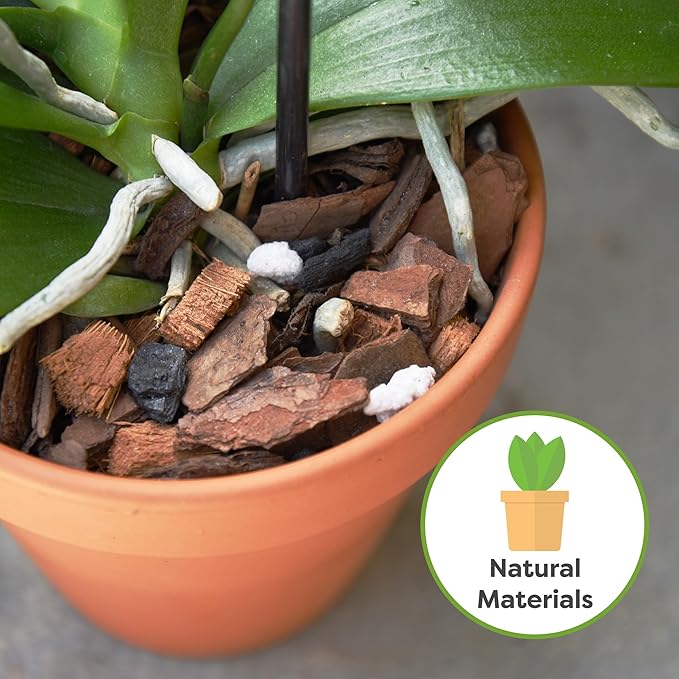 All Natural Orchid Potting Mix by Perfect Plants - 1 Quart Special Blend for Proper Root Development on All Orchid Plant Types