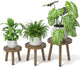 Vecxoty 3-Pack Wood Plant Stands Indoor, Single Plant Stand for 6-12 Inch Pots, Mid-Century Modern Plant Stool, Tall Plant Stand for Large Plants for Living Room, Balcony, Office (Dark Gray)