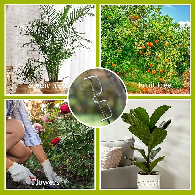 50 Pcs Fruit Tree Limb Spreaders Plant Tying Machine Puller Branchs Preaders Plum Tree Open Angle Pull Branch Stereotyped Tying Bending Farm Tools, M-3.94(Inch), Galvanized