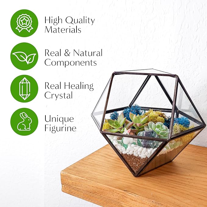 Creations by Nathalie DIY 7" Geometric Terrarium Kit with Live Plants - Build Your Own Glass Terrarium for Adults & Kids with Moss, Crystals, Tools & Decor - Mini Ecosystem - Handcrafted in The USA