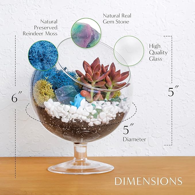Creations by Nathalie 6" DIY Chalice Terrarium Kit with Live Plants - Build Your Own Glass Terrarium for Adults & Kids with Moss, Crystals, Soil, Tools & Figurine - Mini Ecosystem - Made in The USA