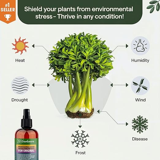 𝐏𝐑𝐎𝐅𝐄𝐒𝐒𝐈𝐎𝐍𝐀𝐋 Liquid Silica Plant Supplement - 32oz - Pattypan Plants Liquid Silica Boost Fertilizer - Stronger Stems & Healthy Leaves for Indoor & Outdoor Plants (Makes 180 Gallons)