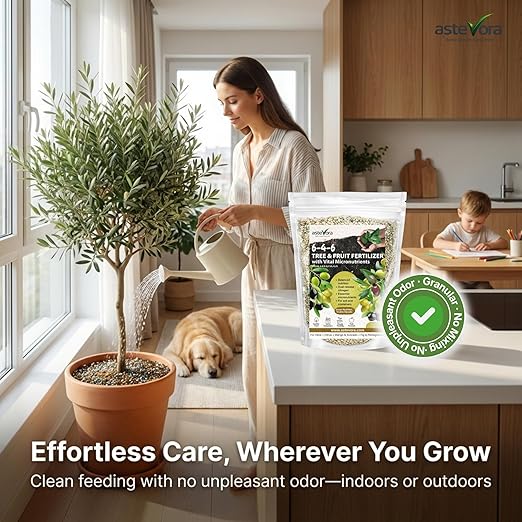 Olive Tree Fertilizer – Fruit Tree Fertilizer for Olive Tree, Citrus, Lemon, Lime, Fig, Avocado, Mango, Apple & Pomegranate – for Potted & Outdoor Trees (1 Quart - 2 lbs.)