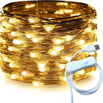 RUICHEN Silver Wire 33 Ft 100 LED USB Fairy String Lights with On/Off Switch (Warm White)