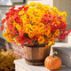 Grunyia 16 PCS Outdoor Fall Artificial Flower - Autumn Thanksgiving Halloween Porch Decor, Faux UV-Resistant Plants for Front Door, Wall, Fence, Fireplace Mantel Decorations