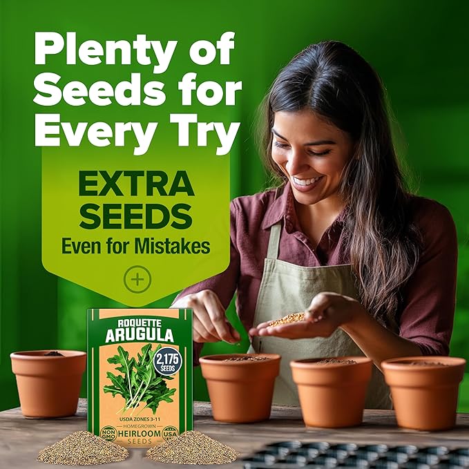 HOME GROWN Arugula Seed 2 Pack – 4350 Vegetable Seeds – Non GMO Ideal Seeds for Hydroponic Garden Indoor – Premium and Heirloom Arugula Seeds for Planting (Eruca vesicaria)