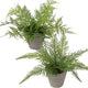Briful 2PCS Fake Plants Potted Artificial Plants Greenery Faux Fern Eucalyptus Décor Plant for Indoor Home Office Bathroom Harmhouse Decoration