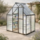 Jiliusure 6x4 FT Greenhouse with Polycarbonate Panels Vent, Dark Gray