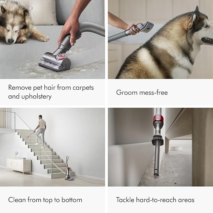 Dyson Ball Animal 3 Extra Upright Vacuum, Corded, 290AW, De-tangling Motorbar Cleaner Head for All Floors, 3 Suction Modes, Specialized pet Tools