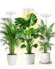 yadoker Plant Grow Light,LED Growing Light Full Spectrum for Indoor Plants,Aluminum Black Plant Lights,Height Adjustable, Automatic Timer, 5V Low Safe Voltage