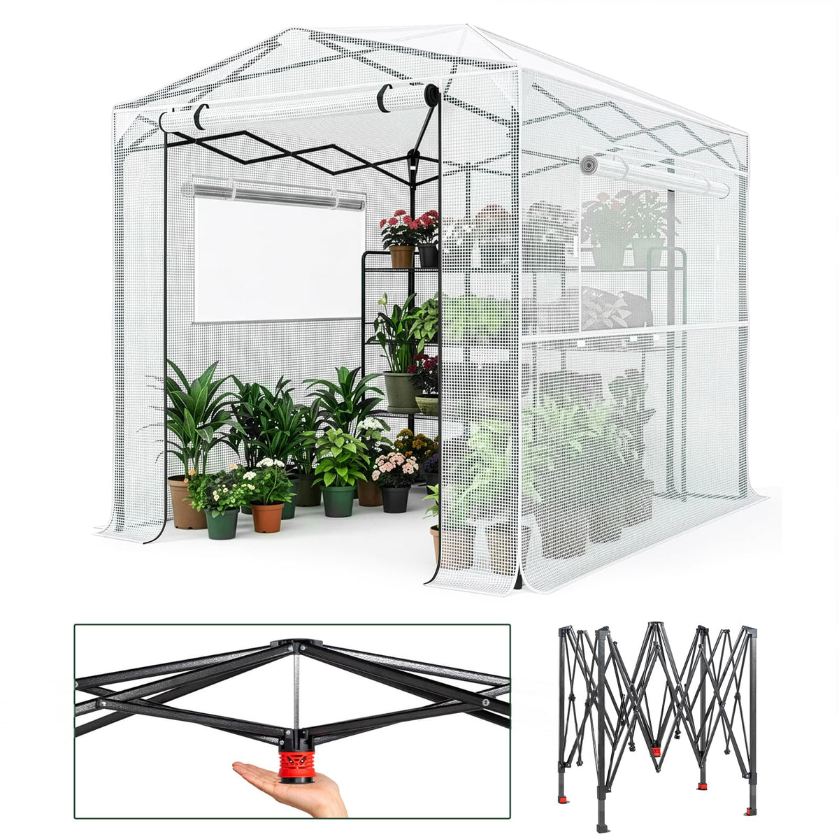 Outvita 6x8ft Greenhouse, Instant Walk-in Pop Up Tent Greenhouse for Indoor Outdoor Gardening Easy Setup Shelter with Roll-up Zipper Entry Doors and Windows