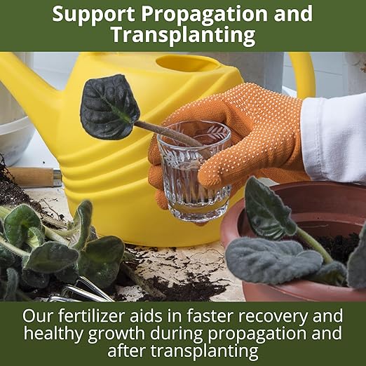 3-1-2 African Violet Fertilizer for Indoor Plants: Liquid Fertilizer with Essential Micronutrients Drops - Plant Food for African Violets (8 oz)