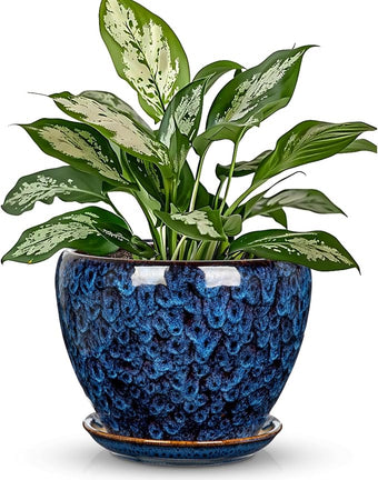 Hollyone 7inch Ceramic Planter Blue Ceramic Plant Pot for Plants Flowers with Drainage Hole and Saucers Ceramic Glaze Round Flower Plant Pot for Indoor Outdoor Medium Round Succulent Orchid Flower Pot