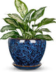 Hollyone 7inch Ceramic Planter Blue Ceramic Plant Pot for Plants Flowers with Drainage Hole and Saucers Ceramic Glaze Round Flower Plant Pot for Indoor Outdoor Medium Round Succulent Orchid Flower Pot