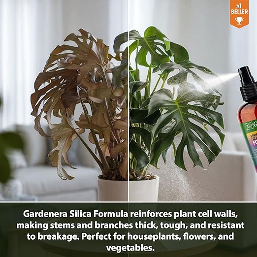 𝐏𝐑𝐎𝐅𝐄𝐒𝐒𝐈𝐎𝐍𝐀𝐋 Liquid Silica Plant Supplement - 32oz - CALATHEA Plants Liquid Silica Boost Fertilizer - Stronger Stems & Healthy Leaves for Indoor & Outdoor Calathea (Makes 180 Gallons)