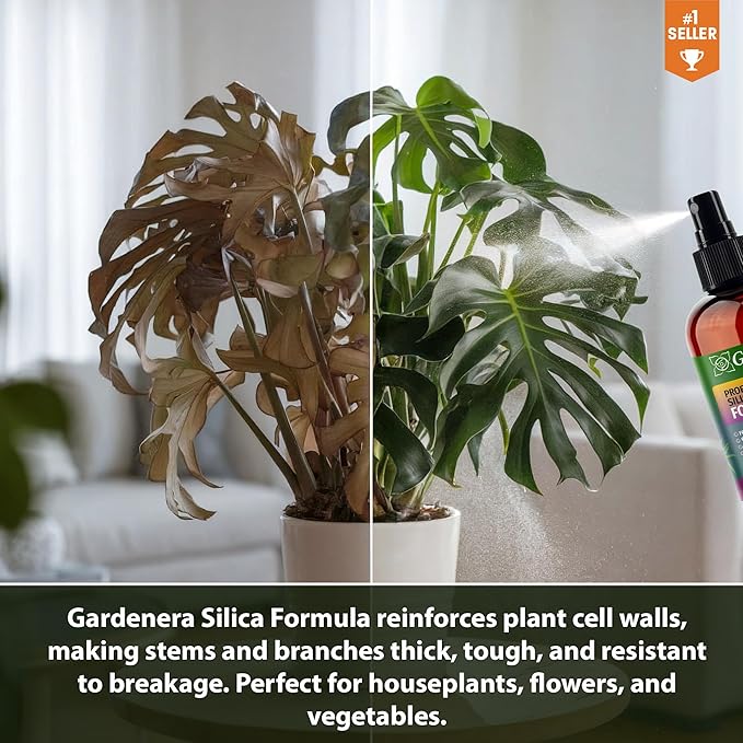 𝐏𝐑𝐎𝐅𝐄𝐒𝐒𝐈𝐎𝐍𝐀𝐋 Liquid Silica Plant Supplement - 32oz - PUMPKIN Plants Liquid Silica Boost Fertilizer - Stronger Stems & Healthy Leaves for Indoor & Outdoor Pumpkin Plants (Makes 180 Gallons)