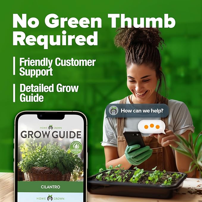 HOME GROWN 1000+ Cilantro Seeds for Planting Indoors or Outdoors - Non-GMO Heirloom Herbs, Coriander Plant Seeds, Herb Seeds Collection for Herb Garden (Coriandrum sativum)