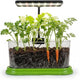 Plant Growing Kit with LED Grow Light & Root Viewing Window, Indoor Garden Kit for Beginners, Vegetable & Herb Garden, Indoor Gardening System, Soil & Seed Starter Germination Kit, Grow Your Own Plant